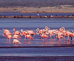 Los Colorados.  Source: recorramoscolombia.blogspot.com - Photo by Daniel Felipe & Lina Marcela